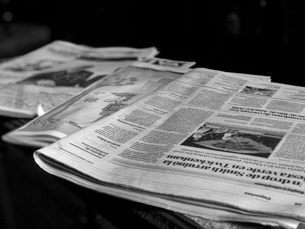 Newspapers — ZIMA in the press